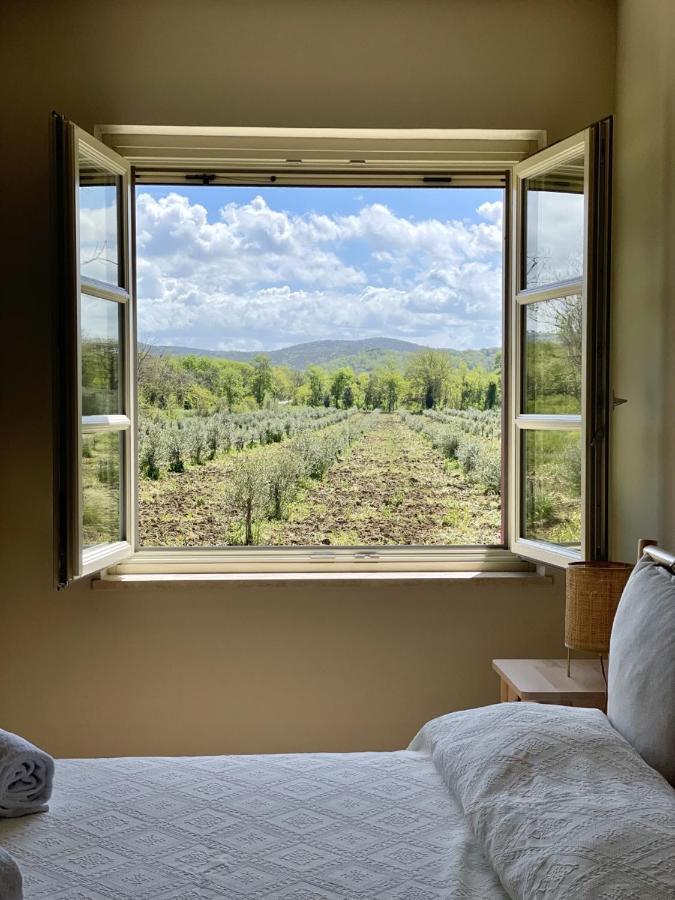 Terravita Winery & Boutique Apartments Suvereto Exteriör bild